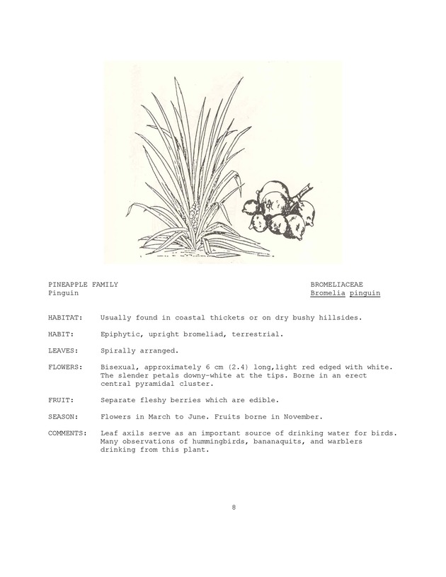 Wildlife plants : illustrated description of U.S. Virgin Islands plants most used by local wild birds and mammals - Page 8