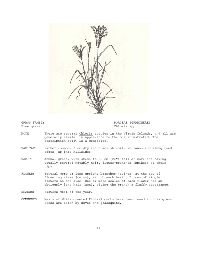 Wildlife plants : illustrated description of U.S. Virgin Islands plants most used by local wild birds and mammals - Page 12