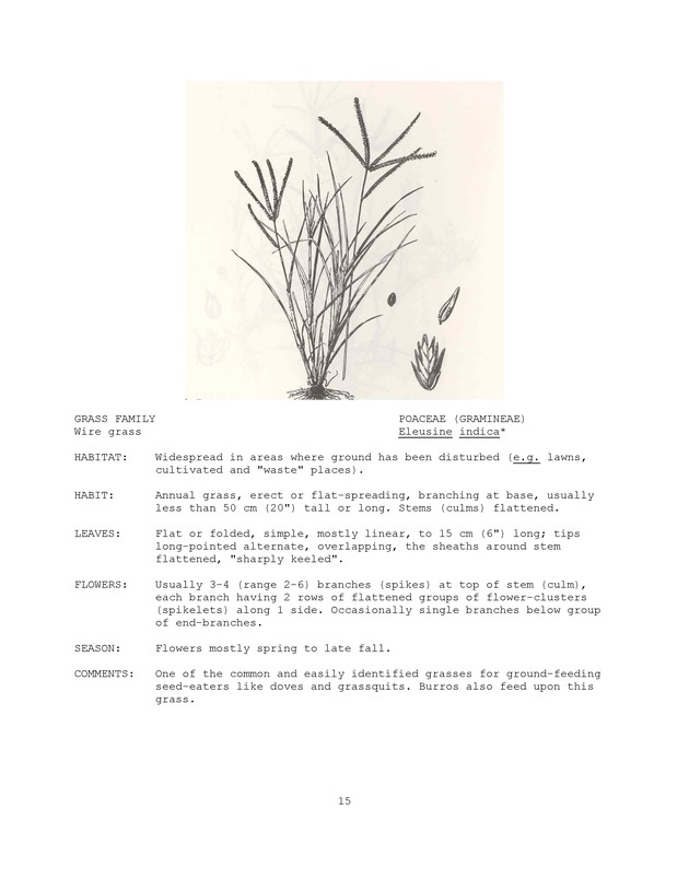 Wildlife plants : illustrated description of U.S. Virgin Islands plants most used by local wild birds and mammals - Page 15