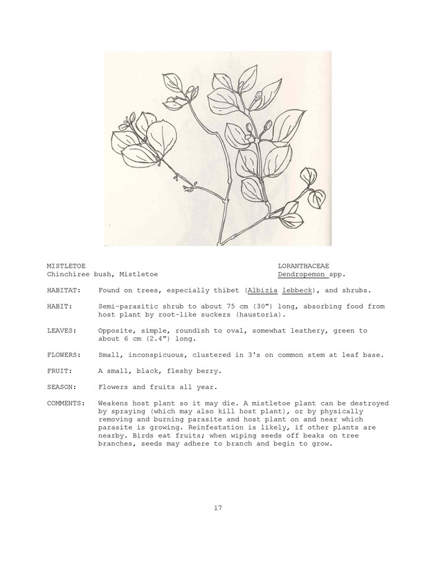 Wildlife plants : illustrated description of U.S. Virgin Islands plants most used by local wild birds and mammals - Page 17