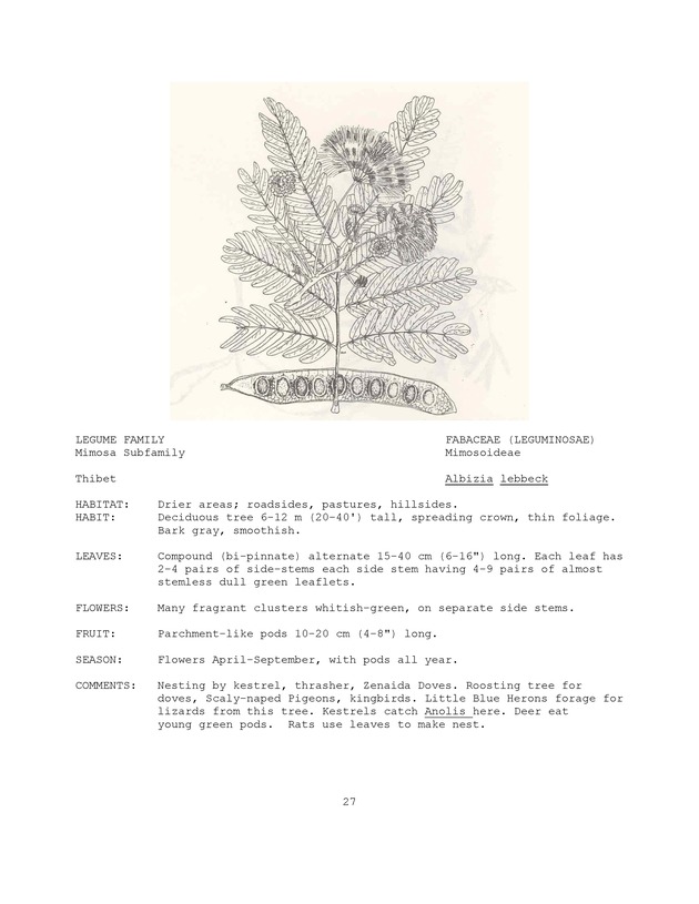 Wildlife plants : illustrated description of U.S. Virgin Islands plants most used by local wild birds and mammals - Page 27