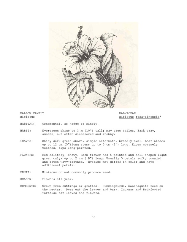 Wildlife plants : illustrated description of U.S. Virgin Islands plants most used by local wild birds and mammals - Page 39