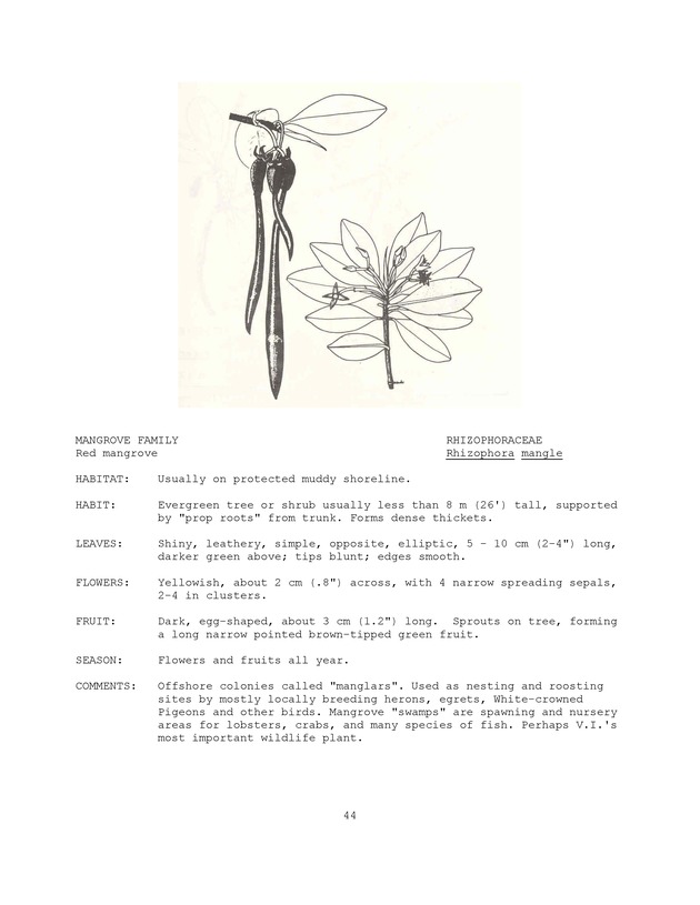 Wildlife plants : illustrated description of U.S. Virgin Islands plants most used by local wild birds and mammals - Page 44