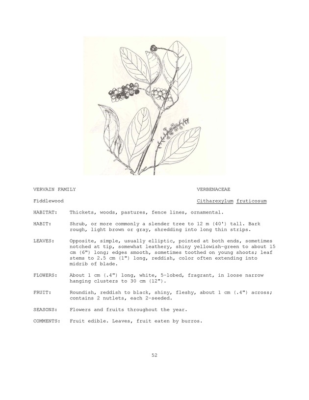 Wildlife plants : illustrated description of U.S. Virgin Islands plants most used by local wild birds and mammals - Page 52