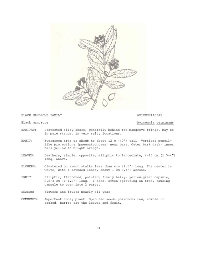 Wildlife plants : illustrated description of U.S. Virgin Islands plants most used by local wild birds and mammals - Page 54