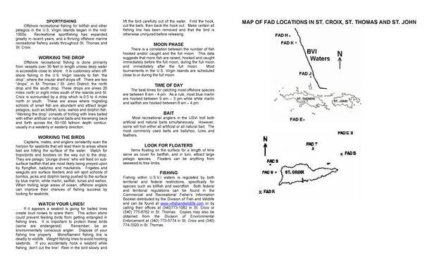 Deep water game fish - Page 2