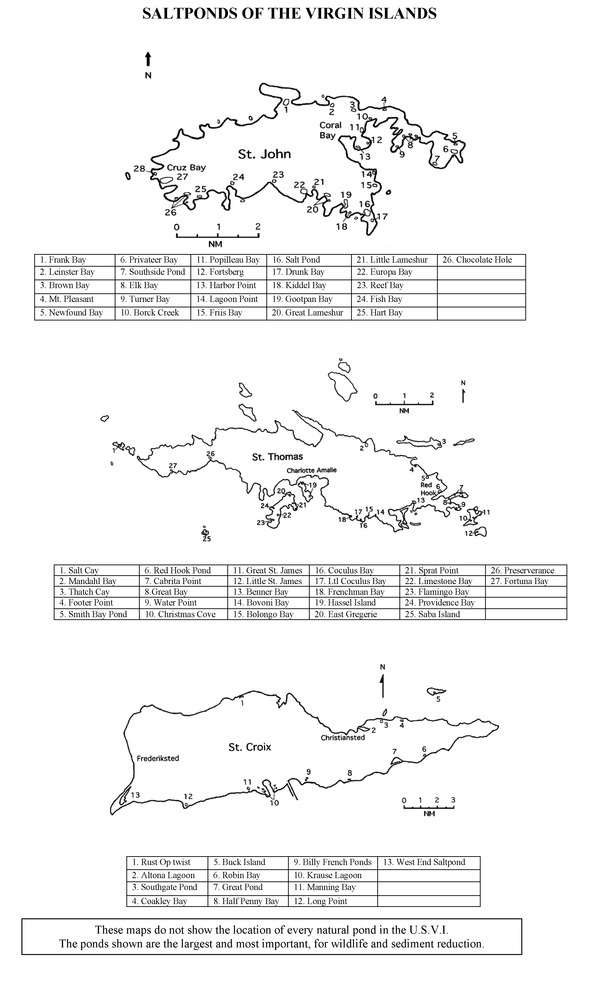 Salt ponds : nature's water pollution prevention system - Page 2