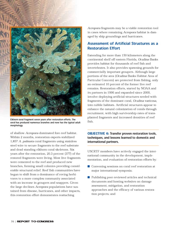 Implementation of the National Coral Reef Action Strategy : report to Congress - Page 76