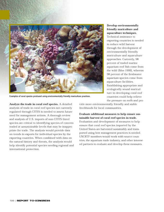 Implementation of the National Coral Reef Action Strategy : report to Congress - Page 100