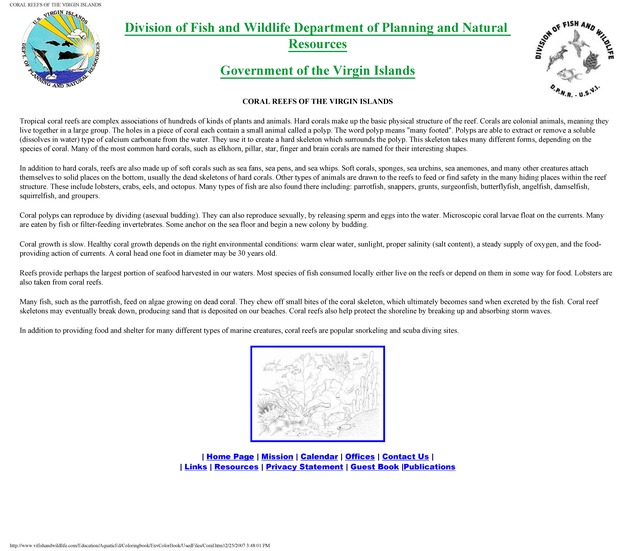 Environmental coloring book of the U.S. Virgin Islands - Page 12