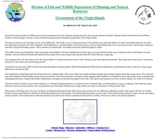 Environmental coloring book of the U.S. Virgin Islands - Page 13