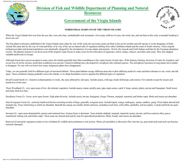 Environmental coloring book of the U.S. Virgin Islands - Page 14