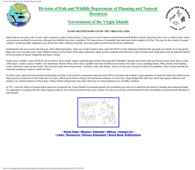 Environmental coloring book of the U.S. Virgin Islands - Page 15