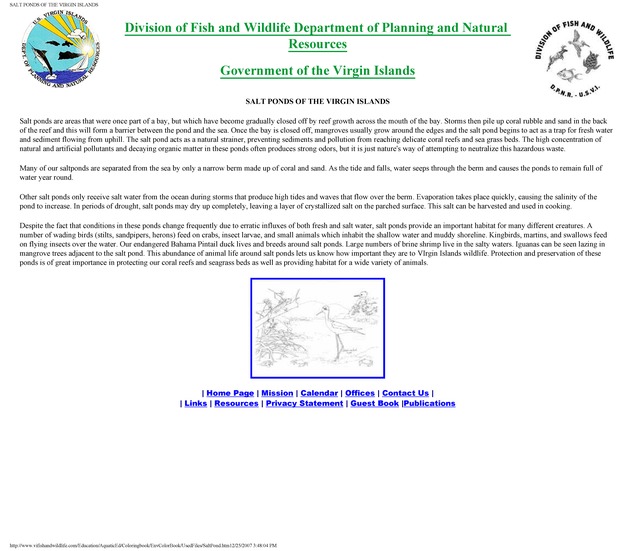 Environmental coloring book of the U.S. Virgin Islands - Page 17