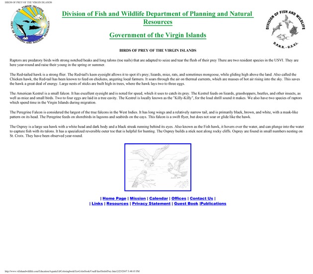 Environmental coloring book of the U.S. Virgin Islands - Page 19