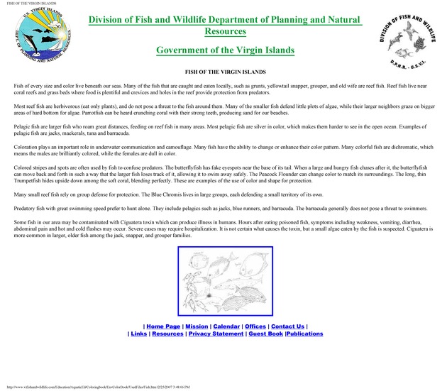 Environmental coloring book of the U.S. Virgin Islands - Page 21