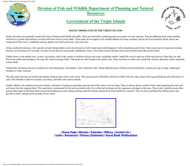 Environmental coloring book of the U.S. Virgin Islands - Page 23