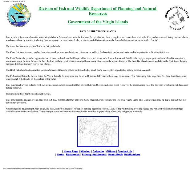 Environmental coloring book of the U.S. Virgin Islands - Page 24