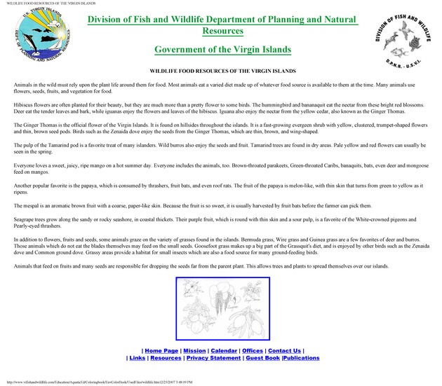 Environmental coloring book of the U.S. Virgin Islands - Page 26