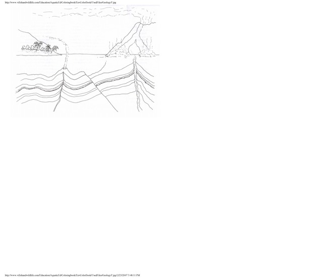 Environmental coloring book of the U.S. Virgin Islands - Page 27