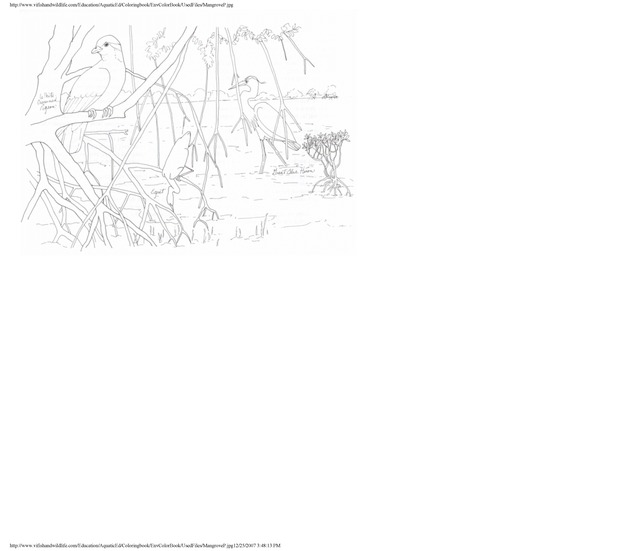 Environmental coloring book of the U.S. Virgin Islands - Page 28