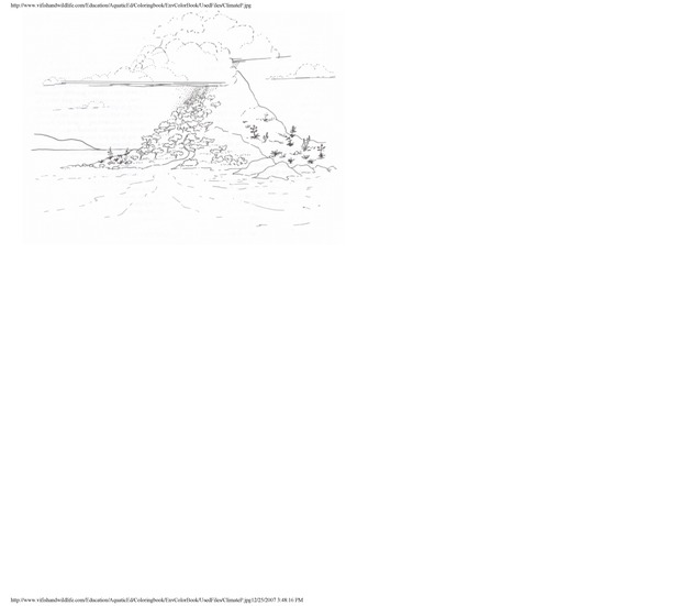 Environmental coloring book of the U.S. Virgin Islands - Page 30