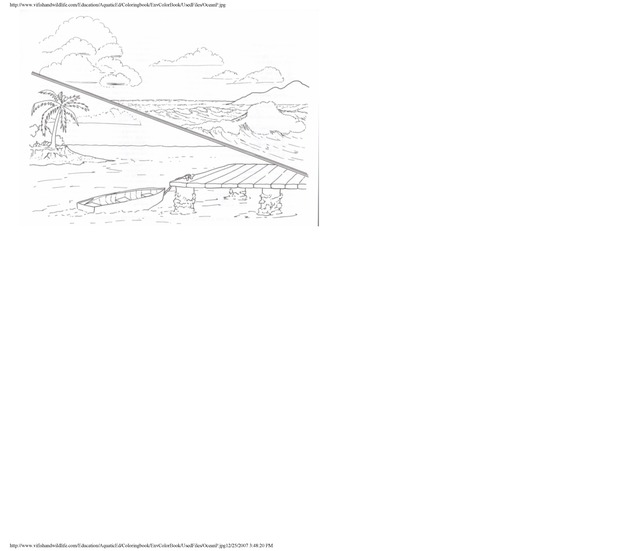 Environmental coloring book of the U.S. Virgin Islands - Page 33