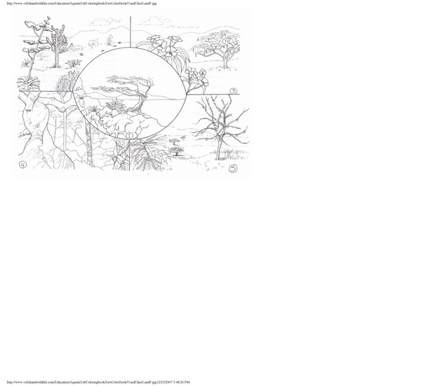 Environmental coloring book of the U.S. Virgin Islands - Page 36