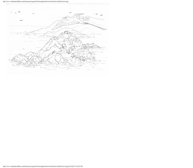 Environmental coloring book of the U.S. Virgin Islands - Page 40