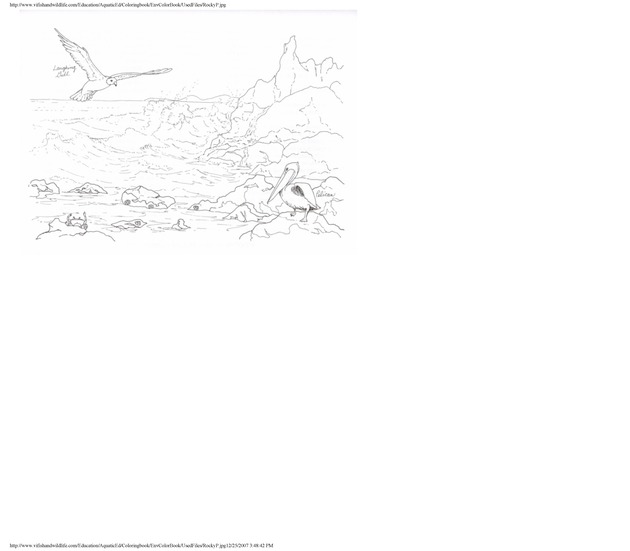 Environmental coloring book of the U.S. Virgin Islands - Page 45