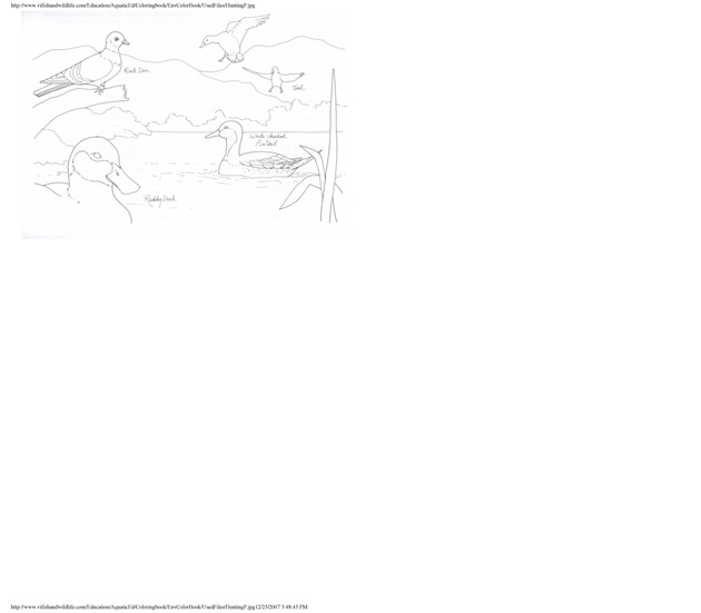 Environmental coloring book of the U.S. Virgin Islands - Page 47