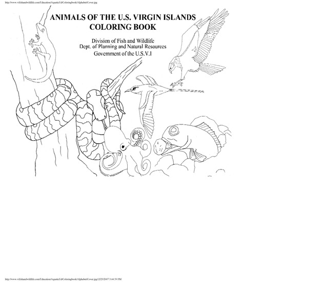 Alphabet coloring book : animals of the U.S. Virgin Islands - Page 4