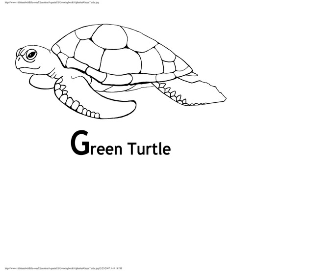 Alphabet coloring book : animals of the U.S. Virgin Islands - Page 18