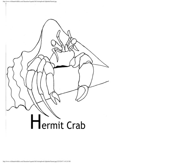 Alphabet coloring book : animals of the U.S. Virgin Islands - Page 19