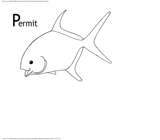 Alphabet coloring book : animals of the U.S. Virgin Islands - Page 36