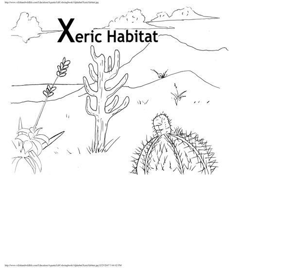 Alphabet coloring book : animals of the U.S. Virgin Islands - Page 50