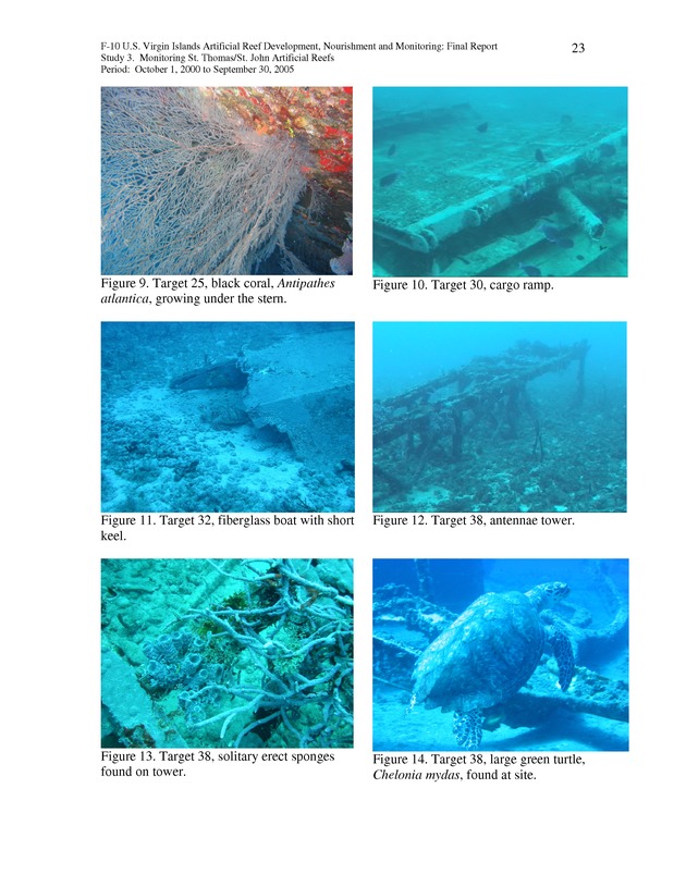 Results of St. Thomas/St. John, U.S. Virgin Islands artificial reef monitoring surveys (October 1, 2000 to September 30, 2005) - Page 23