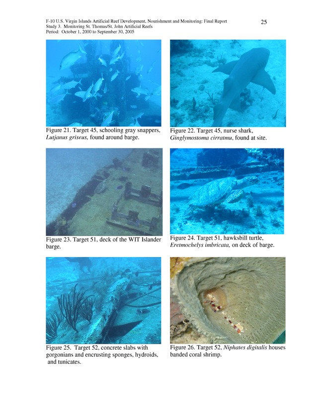 Results of St. Thomas/St. John, U.S. Virgin Islands artificial reef monitoring surveys (October 1, 2000 to September 30, 2005) - Page 25