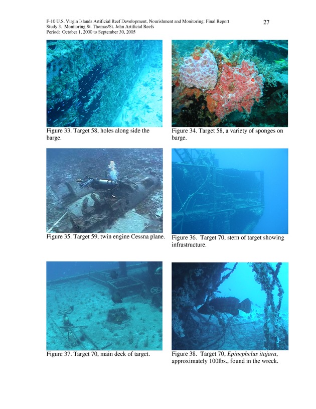 Results of St. Thomas/St. John, U.S. Virgin Islands artificial reef monitoring surveys (October 1, 2000 to September 30, 2005) - Page 27