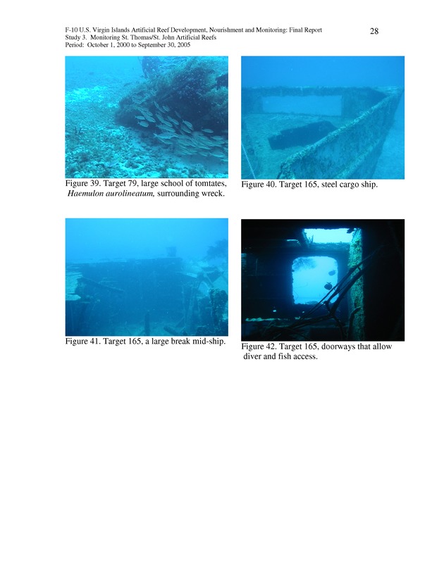 Results of St. Thomas/St. John, U.S. Virgin Islands artificial reef monitoring surveys (October 1, 2000 to September 30, 2005) - Page 28