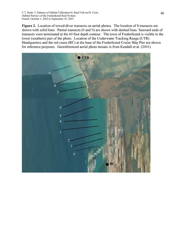 Habitat surveys of the Frederiksted reef system of western St. Croix with observations on cross-shelf distribution patterns of fishes - Page 40