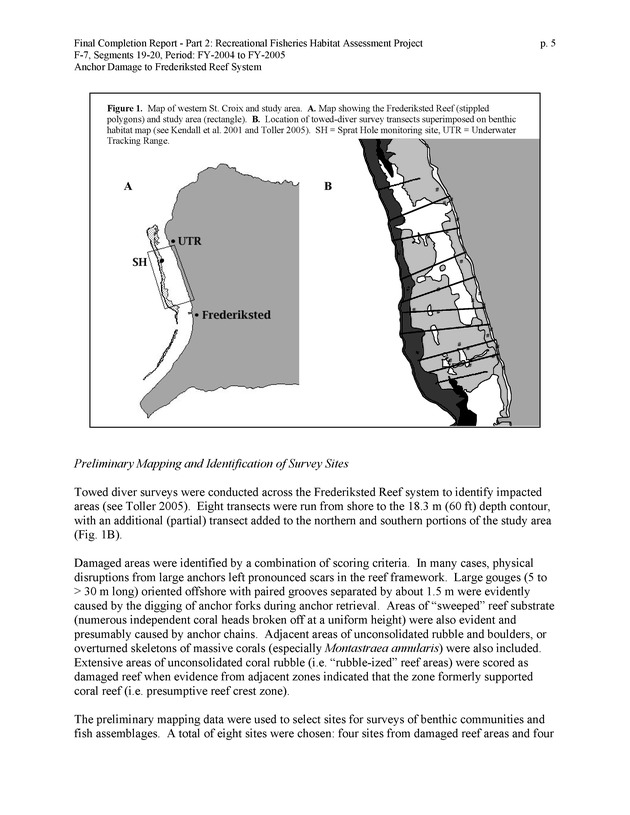 An investigation of anchor damage to the Frederiksted reef system : impacts to substrate, benthic communities, and reef fish assemblages - Page 5