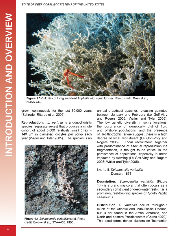 The state of deep coral ecosystems of the United States : 2007 - Page 8