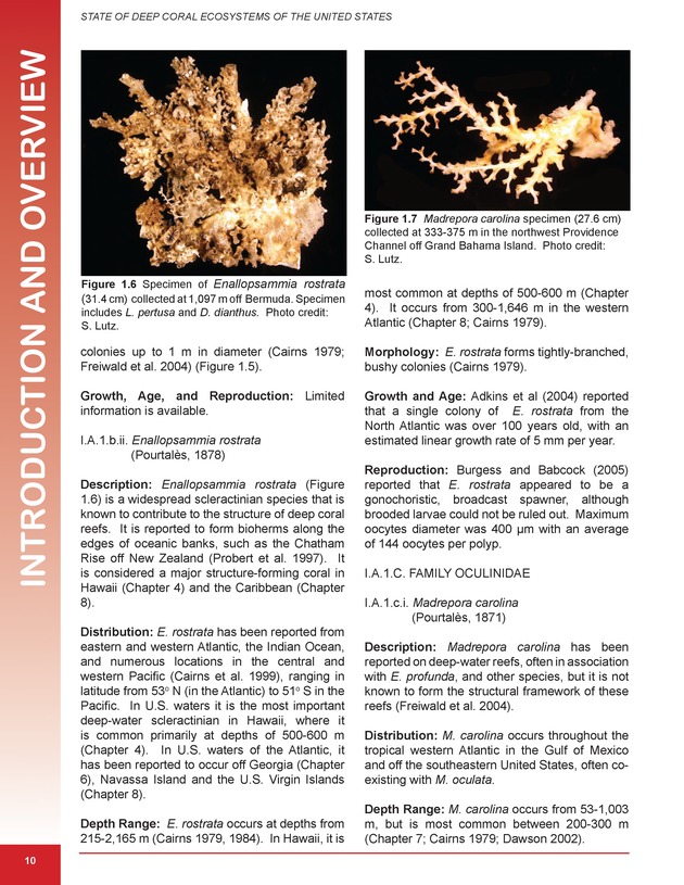 The state of deep coral ecosystems of the United States : 2007 - Page 10