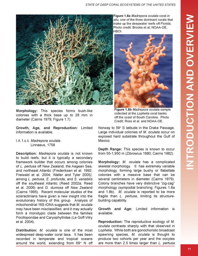 The state of deep coral ecosystems of the United States : 2007 - Page 11