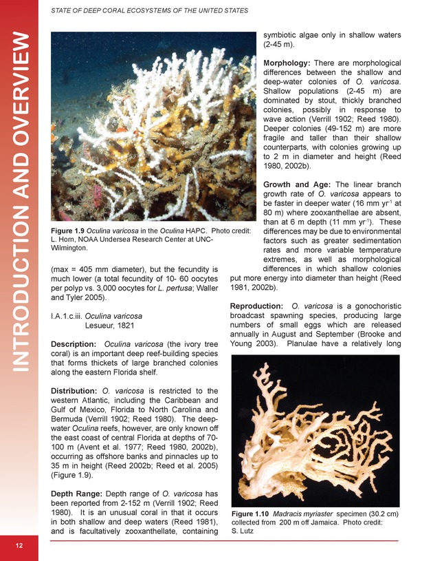 The state of deep coral ecosystems of the United States : 2007 - Page 12