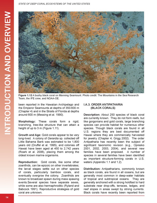 The state of deep coral ecosystems of the United States : 2007 - Page 14