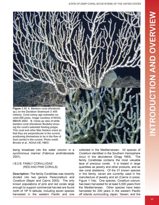 The state of deep coral ecosystems of the United States : 2007 - Page 17