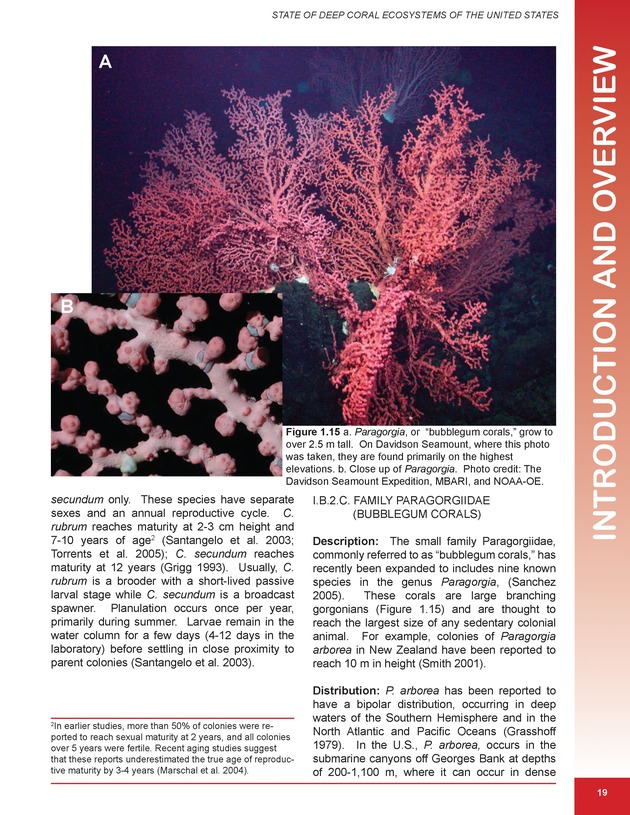 The state of deep coral ecosystems of the United States : 2007 - Page 19