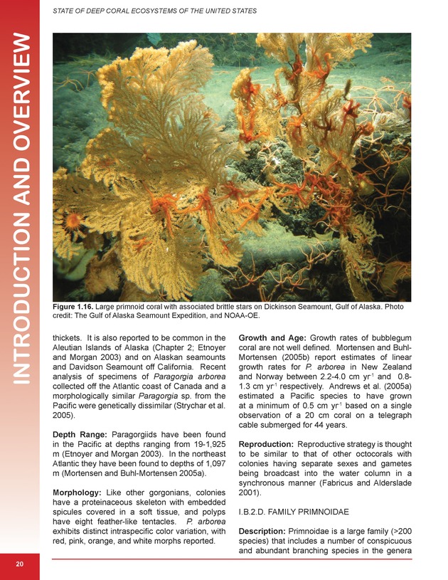 The state of deep coral ecosystems of the United States : 2007 - Page 20